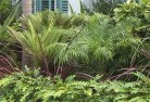 Gowrie NSWtropical-landscaping-2.jpg; ?>
