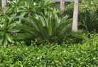 Gowrie NSWtropical-landscaping-4.jpg; ?>