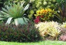 Gowrie NSWtropical-landscaping-9.jpg; ?>